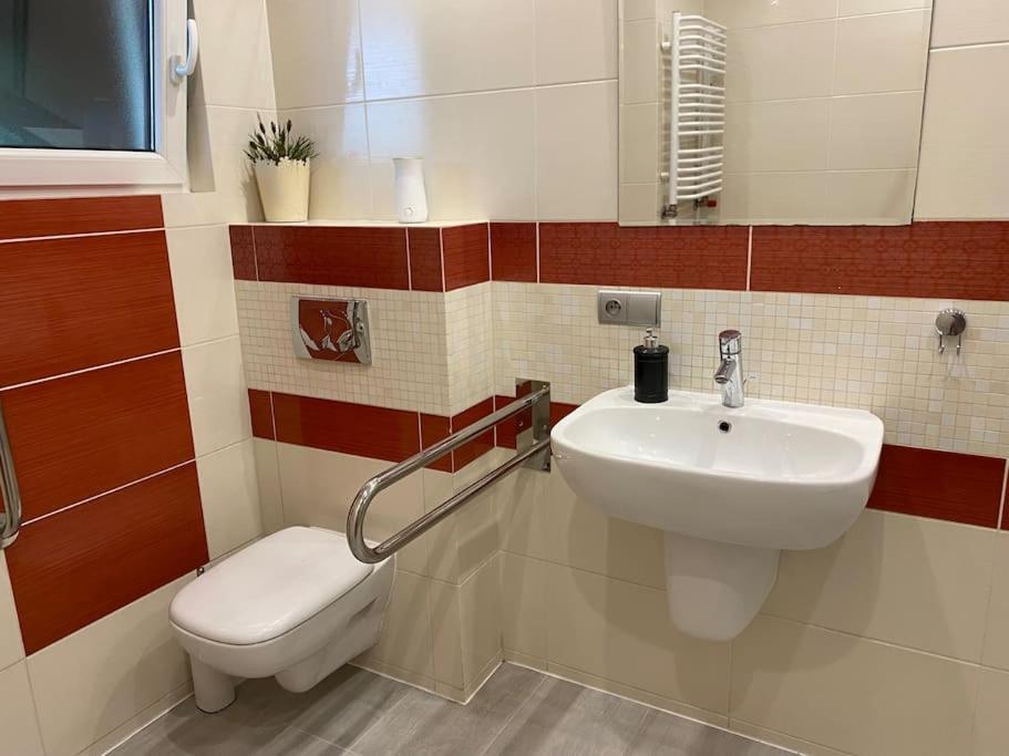 4 Bedroom Family House With Access To A Hot Tub Goczalkowice-Zdroj Exterior photo